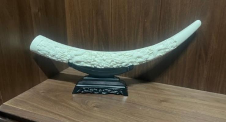 女人戴象牙有什么好处