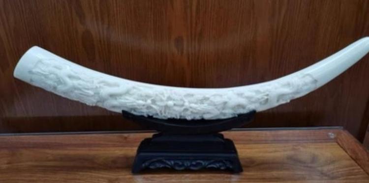 女人戴象牙有什么好处