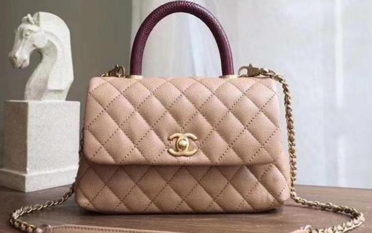 cneile是什么牌子