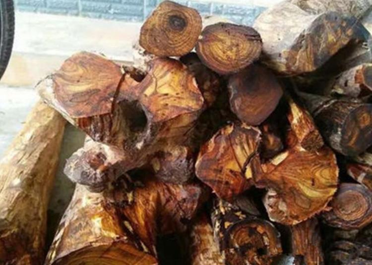 藤香木和黄花梨的区别