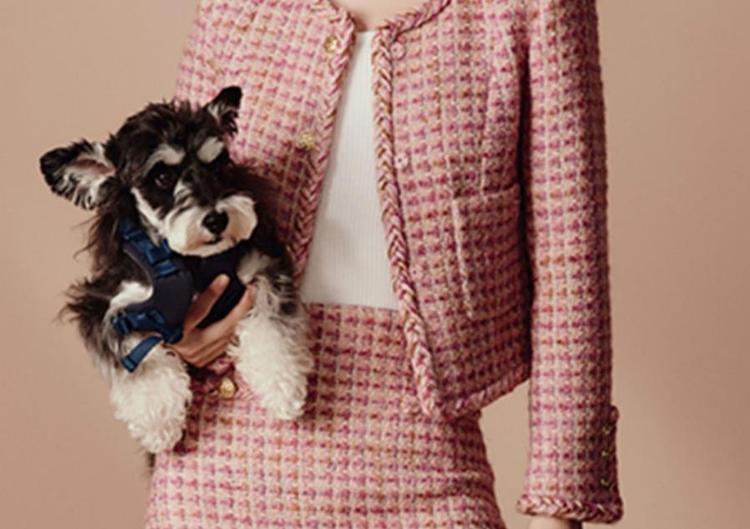 moissac是什么牌子