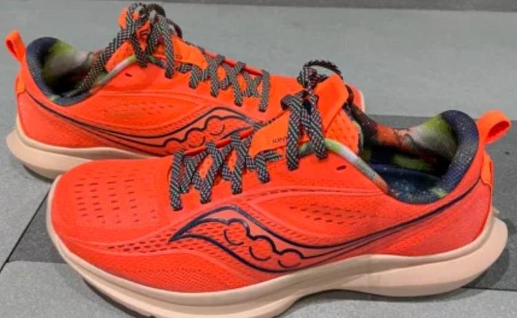 索康尼是哪国的牌子