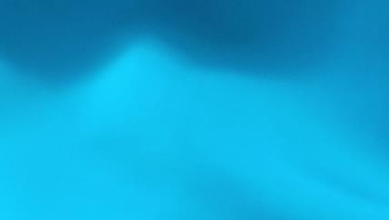 双绉真丝是什么面料