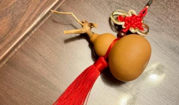 文玩葫芦几月采摘