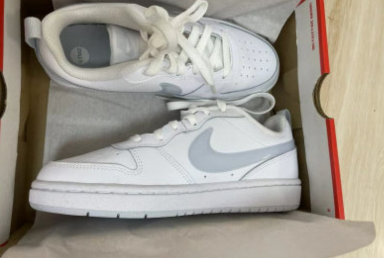 鞋子dunk是什么意思