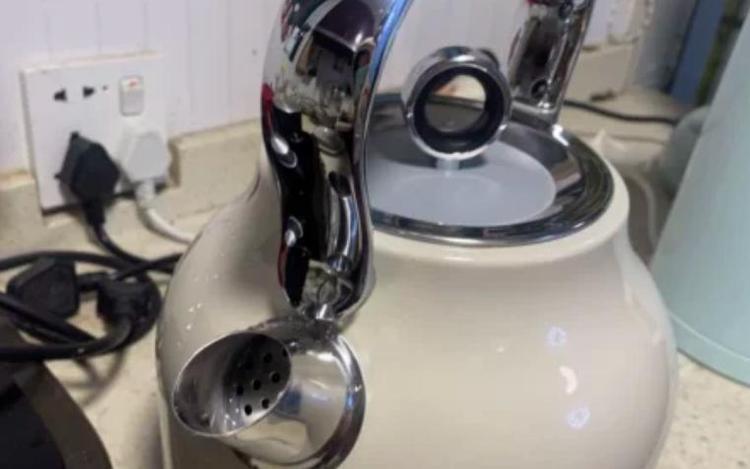 deslon是什么牌子