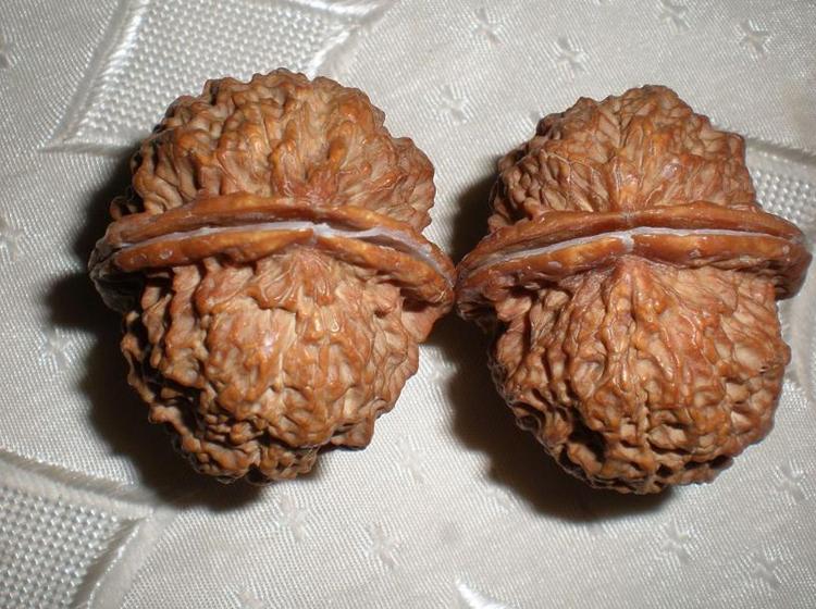 铁核桃和麻核桃区别