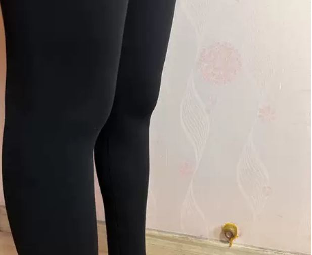 鲨鱼裤和打底什么区别