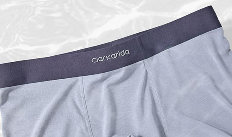 clarkarida什么牌子