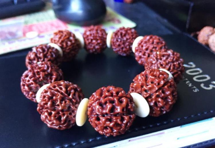 落地红与金刚菩提区别