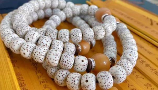 星月菩提是什么