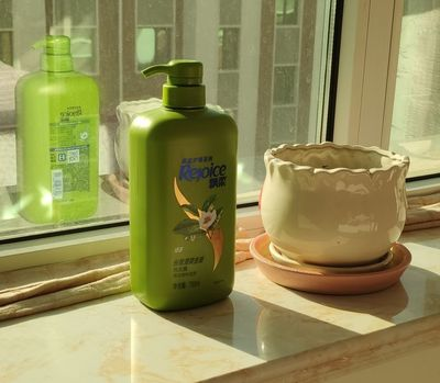 洗发乳能当洗发水用吗