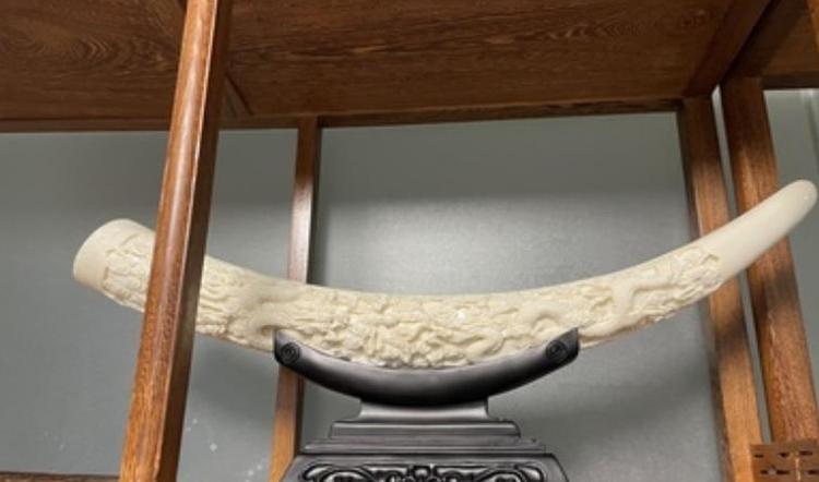 女人戴象牙有什么好处