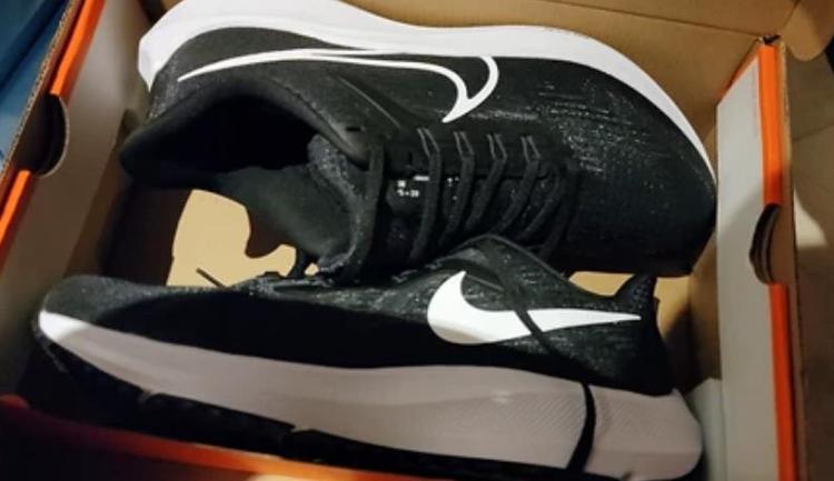 飞马38是全掌气垫吗