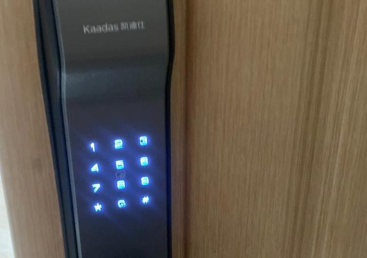 kaadas是什么牌子